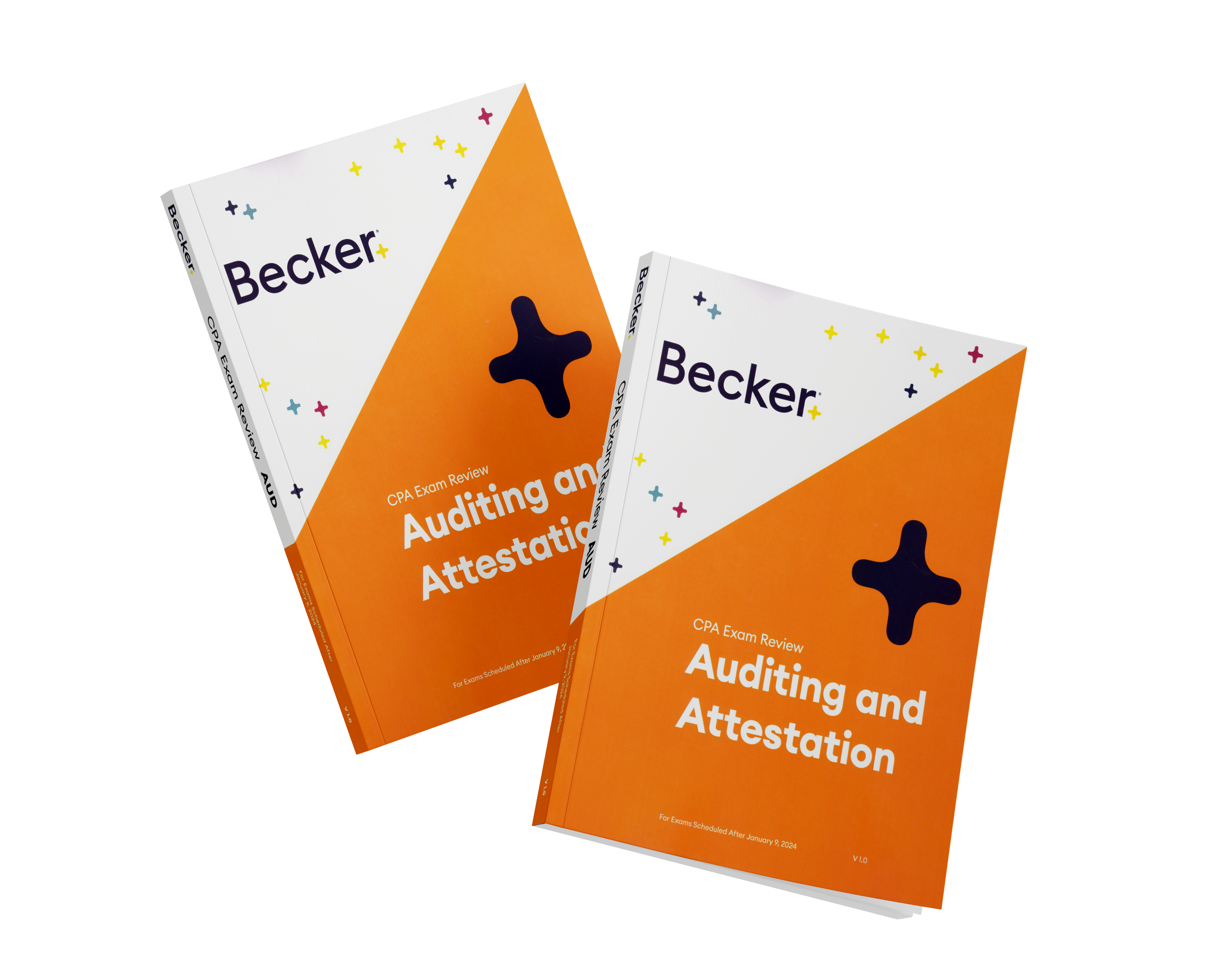 Auditing and Attestation